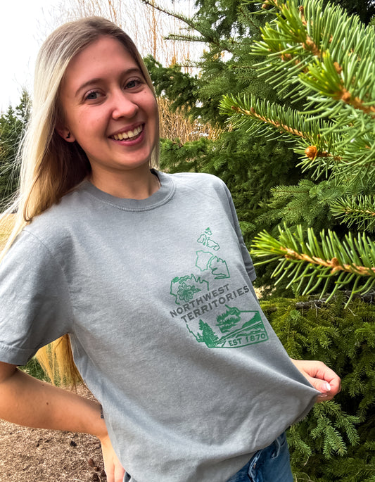 Northwest Territories Graphic T-Shirt | Canadian Territory Tee T-Shirt Grey Grey_Northwest_Territories_Graphic_Tee