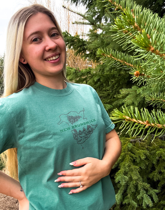 New Brunswick Graphic T-Shirt | Canadian Province Tee T-Shirt Seafoam Seafoam_New_Brunswick_Graphic_Tee