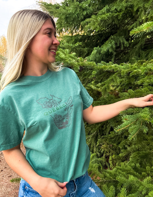 Quebec Graphic T-Shirt | Canadian Province Tee T-Shirt Seafoam Seafoam_Quebec_Graphic_Tee
