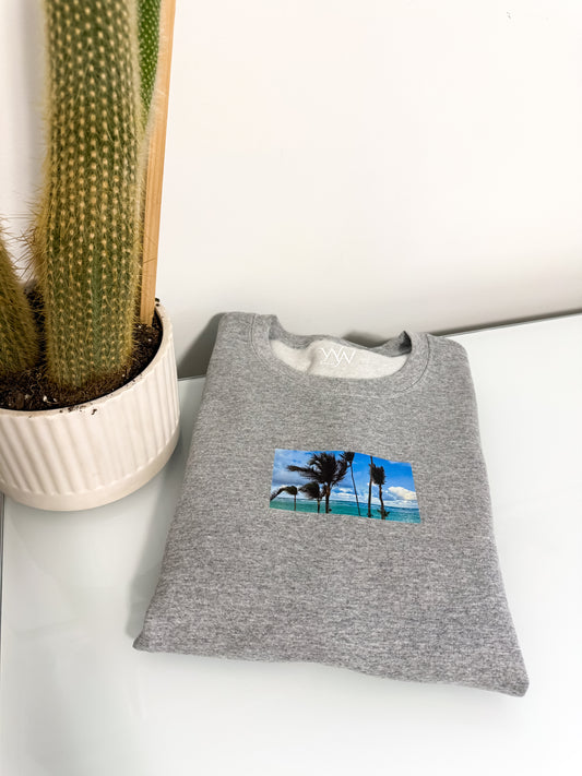 X-Large Sport Grey Coastal Crewneck 6E9AFC66-8A48-4E75-9B74-3BE1B96A8062