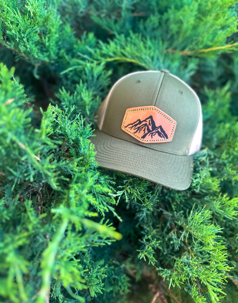 Mountain SnapBack Hat