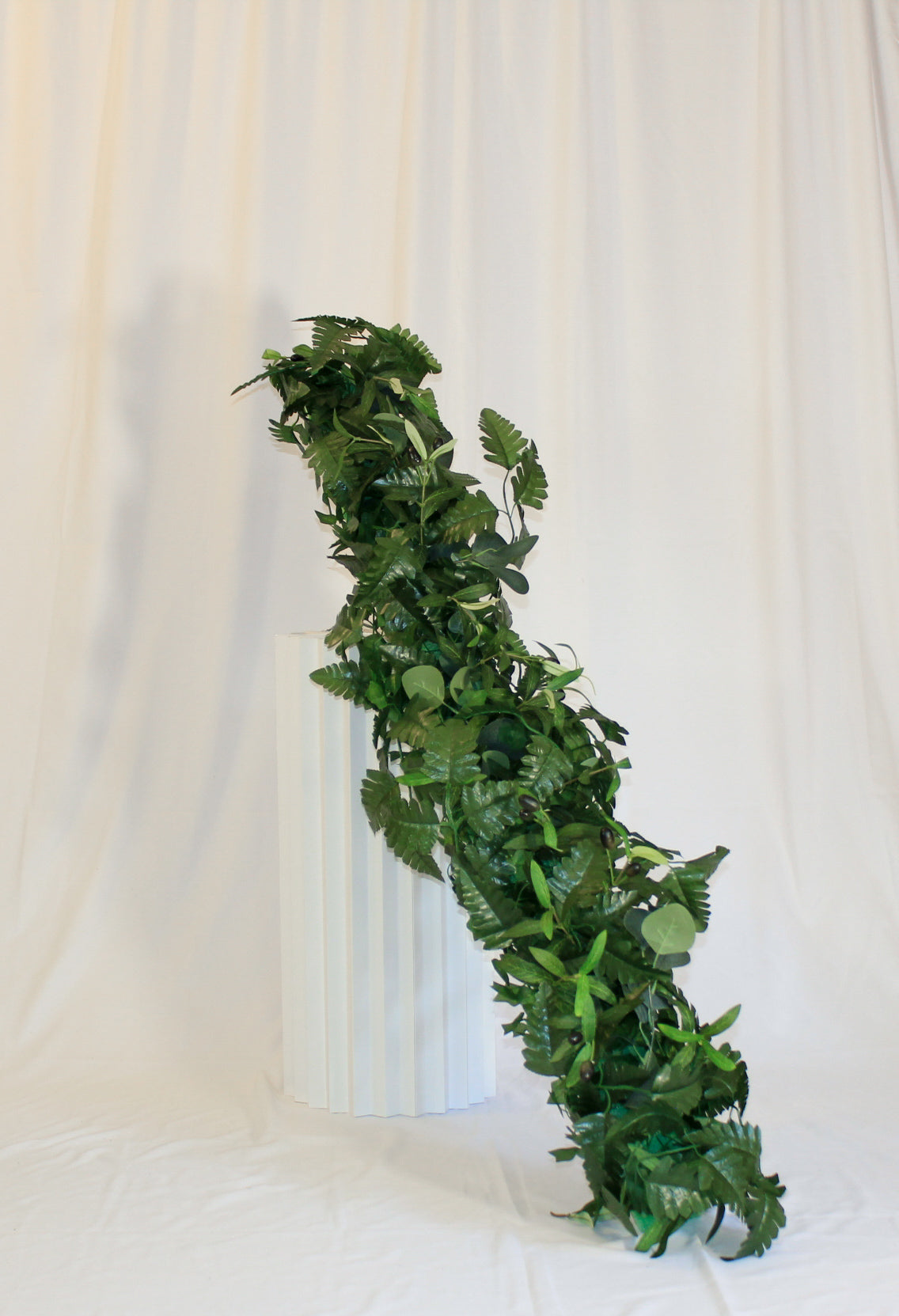 The Cascading Ferns D5F80D4D-F0CA-475C-AAFB-B835CE2EF242