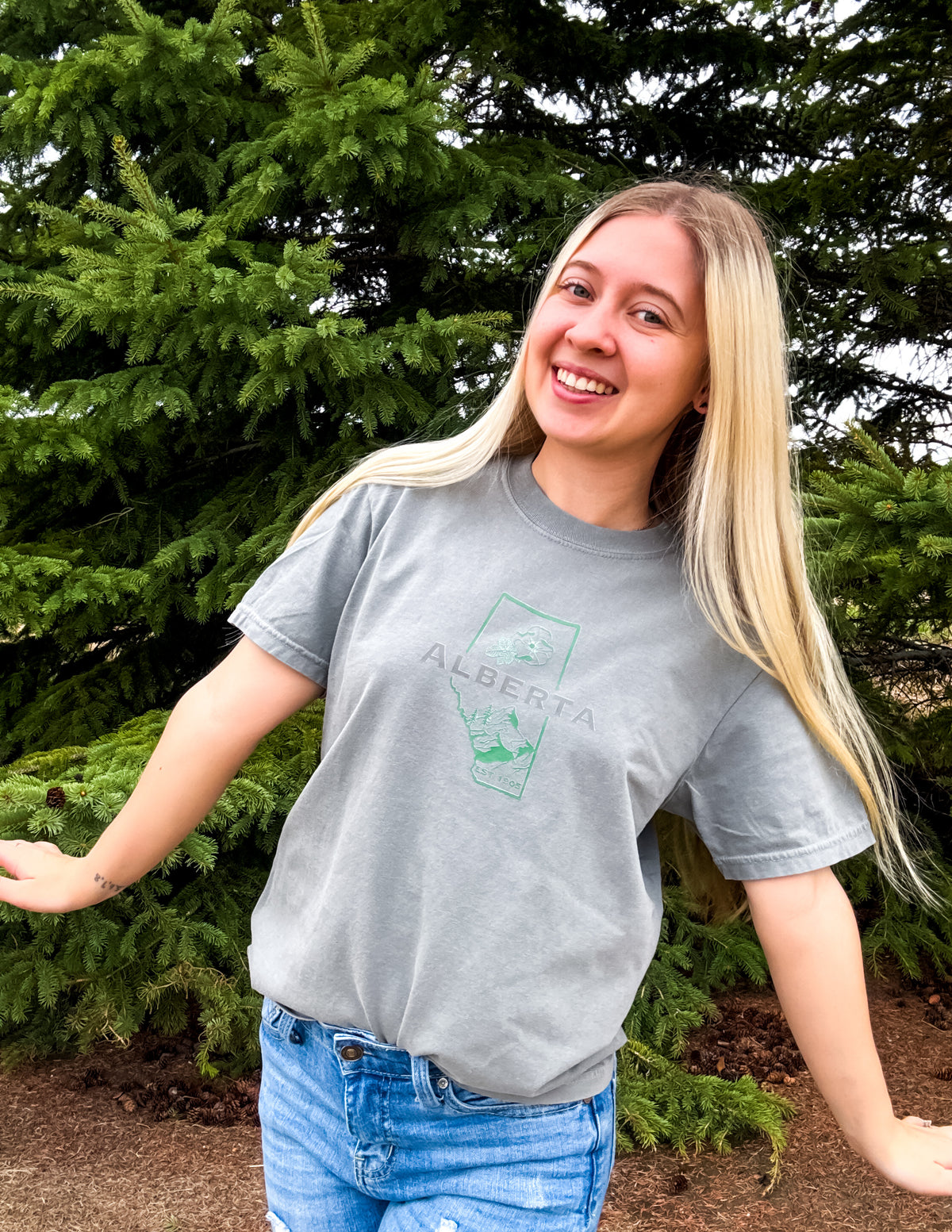 Alberta Graphic T-Shirt | Canadian Province Tee T-Shirt Grey Grey_Alberta_Graphic_Tee