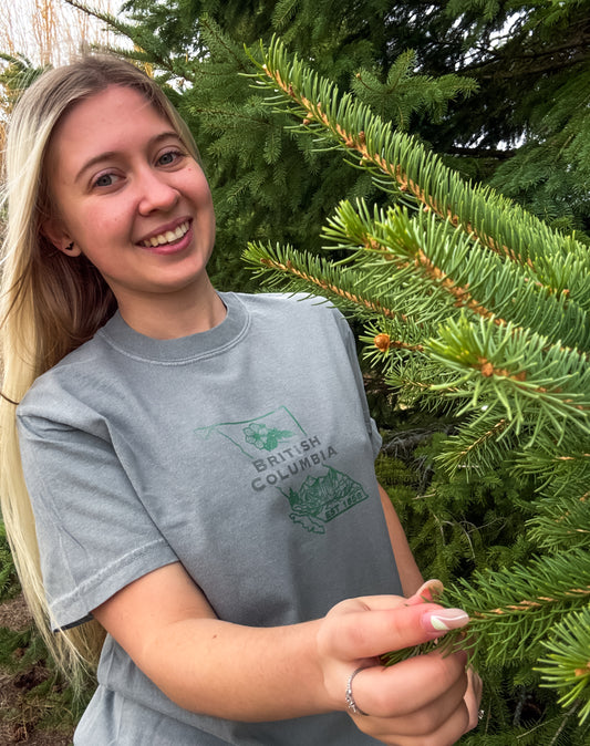 British Columbia Graphic T-Shirt | Canadian Province Tee T-Shirt Grey Grey_British_Columbia_Graphic_Tee