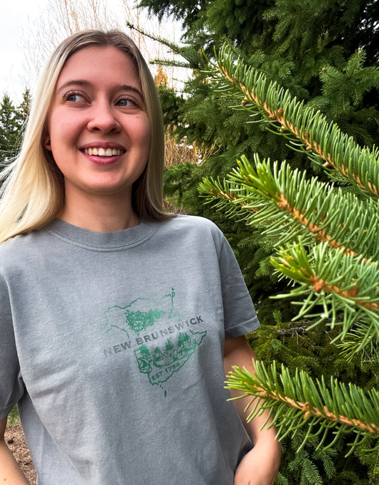 New Brunswick Graphic T-Shirt | Canadian Province Tee T-Shirt Grey Grey_New_Brunswick_Graphic_Tee
