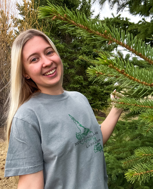 Newfoundland & Labrador Graphic T-Shirt | Canadian Province Tee T-Shirt Grey Grey_Newfoundland_Labrador_Graphic_Tee