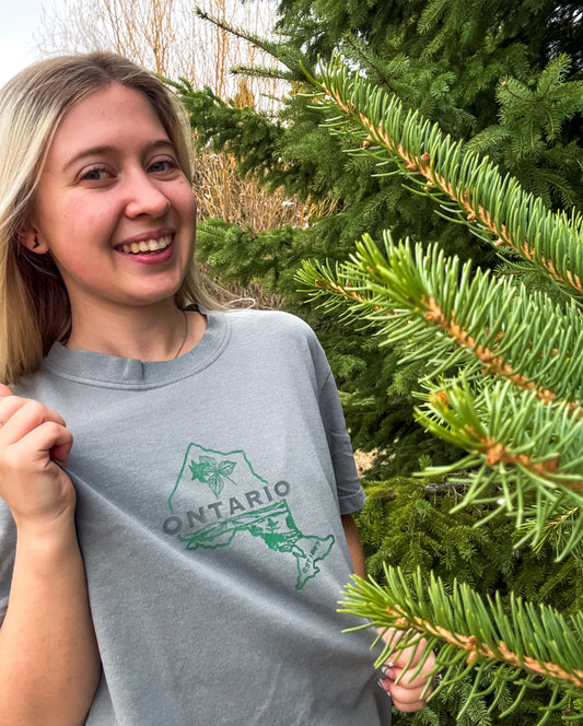 Ontario Graphic T-Shirt | Canadian Province Sweater T-Shirt Grey Grey_Ontario_Graphic_Tee
