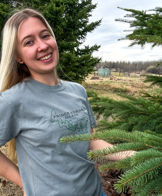 Prince Edward Island Graphic T-Shirt | Canadian Province Tee T-Shirt Grey Grey_Prince_Edward_Island_Graphic_Tee