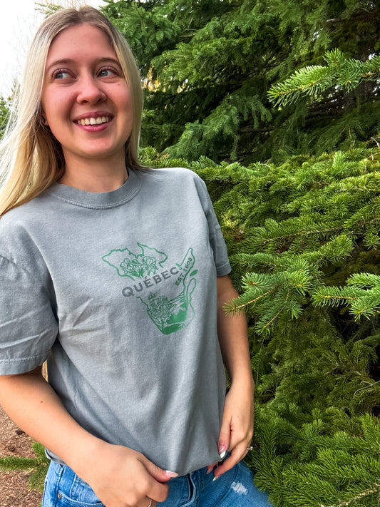Quebec Graphic T-Shirt | Canadian Province Tee T-Shirt Grey Grey_Quebec_Graphic_Tee