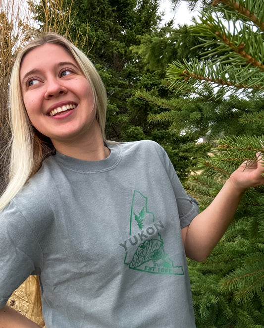 Yukon Graphic T-Shirt | Canadian Territory Tee T-Shirt Grey Grey_Yukon_Graphic_Tee