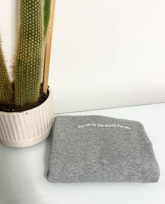 Medium Sport Grey Say Hi To The World Crewneck IMG-1277
