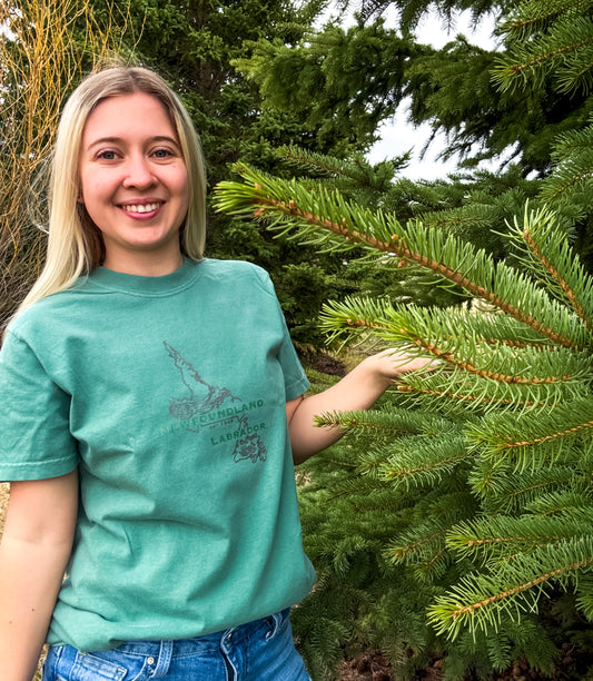 Newfoundland & Labrador Graphic T-Shirt | Canadian Province Tee T-Shirt Seafoam Seafoam_Newfoundland_Labrador_Graphic_Tee
