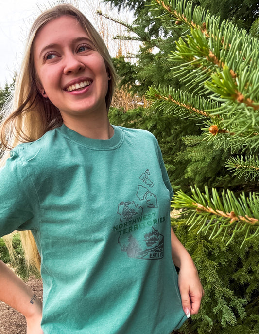 Northwest Territories Graphic T-Shirt | Canadian Territory Tee T-Shirt Seafoam Seafoam_Northwest_Territories_Graphic_Tee