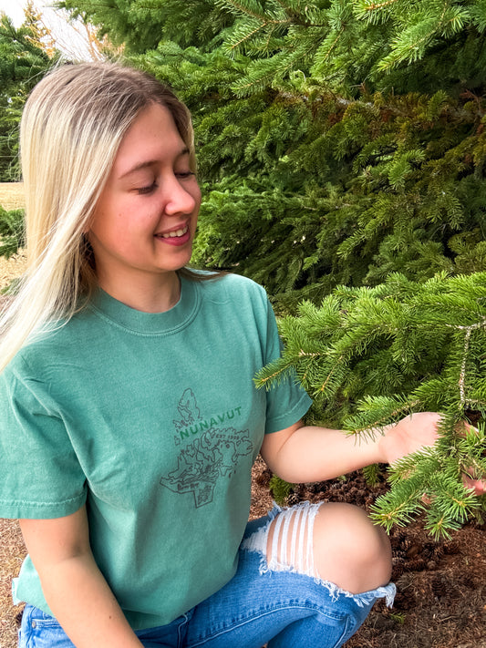 Nunavut Graphic T-Shirt | Canadian Territory Tee T-Shirt Seafoam Seafoam_Nunavut_Graphic_Tee