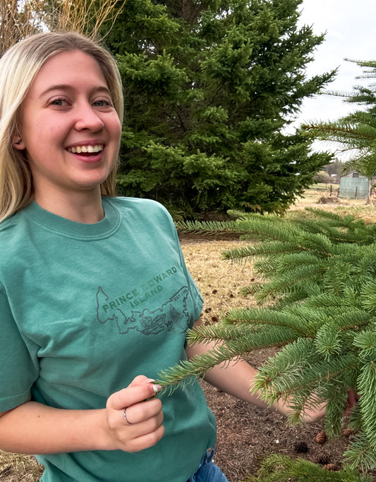 Prince Edward Island Graphic T-Shirt | Canadian Province Tee T-Shirt Seafoam Seafoam_Prince_Edward_Island_Graphic_Tee